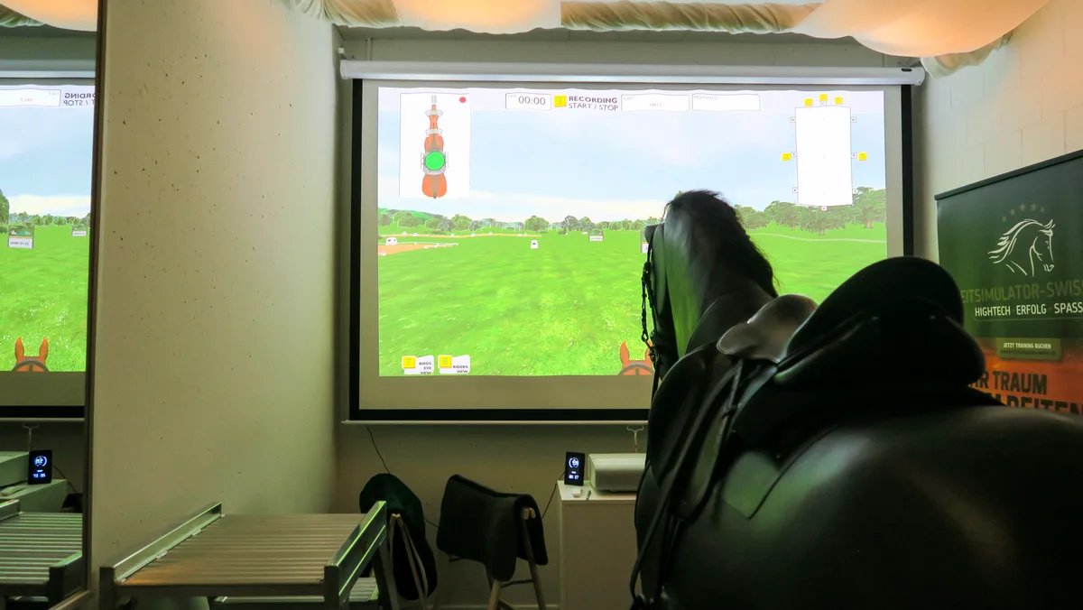 Man sieht ein Plastikpferd vor einer Leinwand, auf der eine Reitlandschaft abgebildet ist.